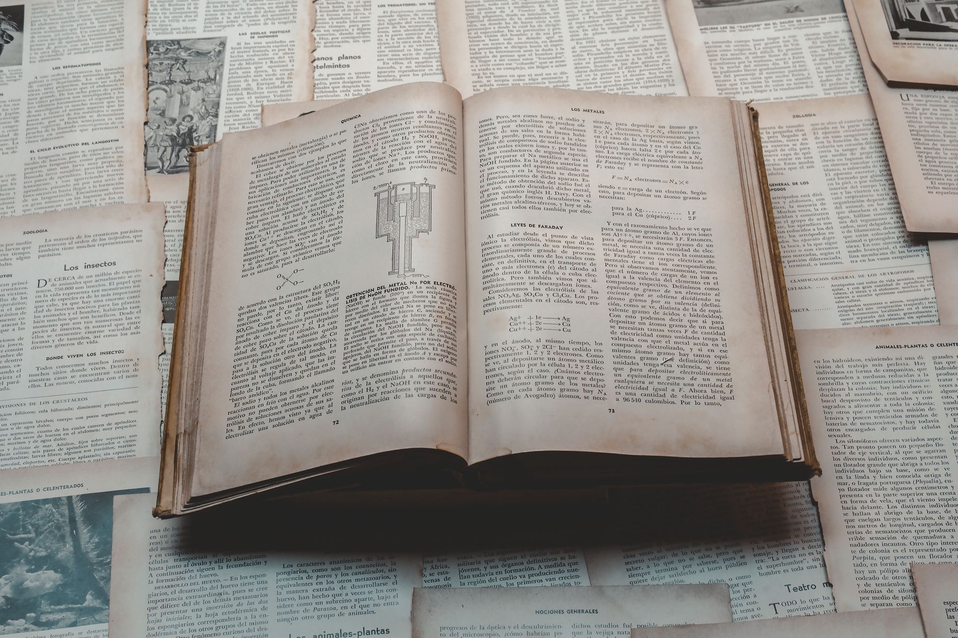 How to Learn History: Without It Feeling Like School
