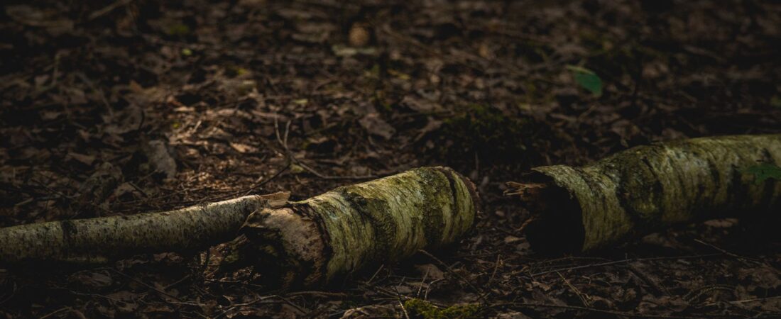 Bed Rotting: Rest or Avoidance? How to Tell the Difference