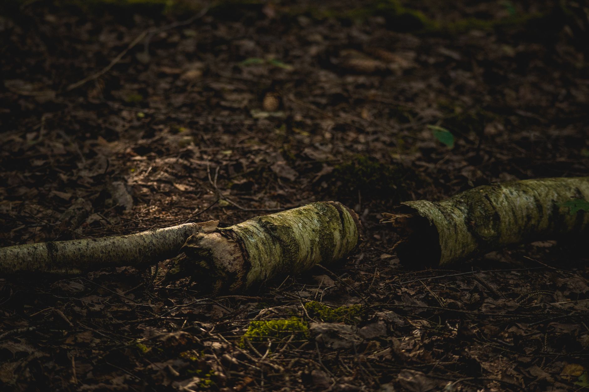 Bed Rotting: Rest or Avoidance? How to Tell the Difference